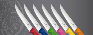 Victorinox Kchenmesser Haushaltsmesser Brotmesser Rstmesser Zrichsee Obersee March hfe Schwyz