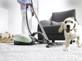Allergie Staubsauger, Hundebrste, Katzenbrste, Tiefenpflege, Hepa-Filter