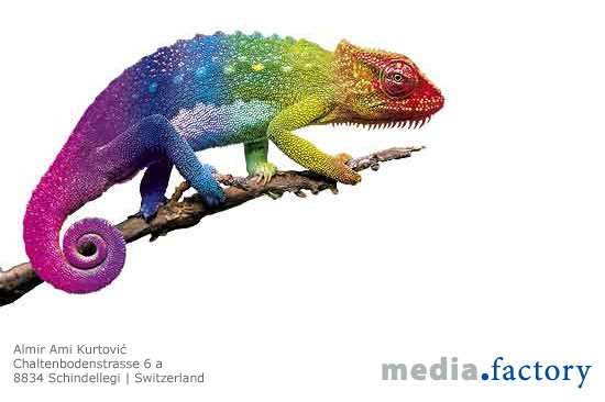 1013_cameleon.jpg