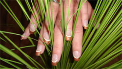 10142_naildesign5.jpg